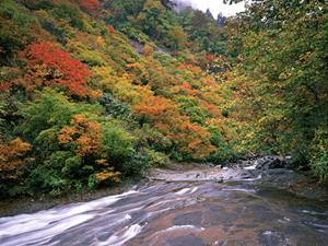 三重県津市のビジネスホテル：東横INN津駅西口の魅力と詳細情報