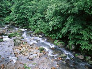 2025年最新！金沢で叶えるカップル着物体験の魅力と完全ガイド