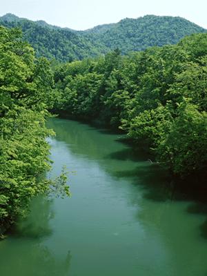 神奈川県川崎市にある東横INN武蔵中原駅前：快適な滞在を約束するビジネスホテルの魅力と便利なアクセス情報