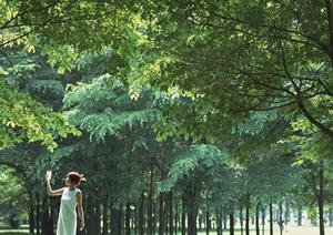 新潟市のビジネスホテル：東横INN新潟古町の魅力と便利な滞在情報