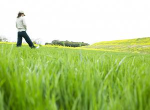 高松市のビジネスホテルの新基準【東横INN高松兵庫町】? 快適な宿泊体験と便利なアクセスを提供