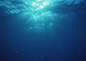 東横INN弘前駅前: 便利なアクセスと快適な滞在を提供するビジネスホテル