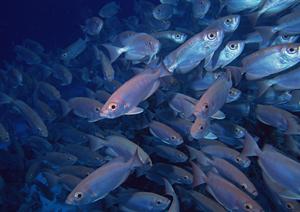 金沢市中心部の快適なビジネスホテル｜東横INN金沢兼六園香林坊の魅力と詳細情報