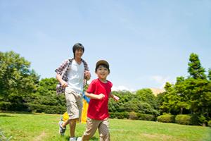 直島フェリー完全ガイド｜運航時刻・料金・観光スポットを徹底解説！