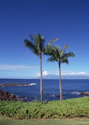 大阪市淀川区に位置する、便利で快適な宿泊体験を提供する東横INN大阪阪急十三駅西口2の詳細ガイド