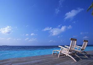 【公式情報をもとに徹底解説】東横INN品川大井町の魅力とサービス内容