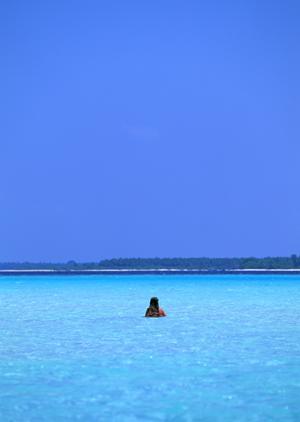 最新2025年版！埼玉で楽しむ体験農園の魅力と選び方